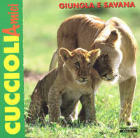 Libraccio