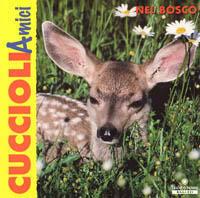 Nel bosco - copertina