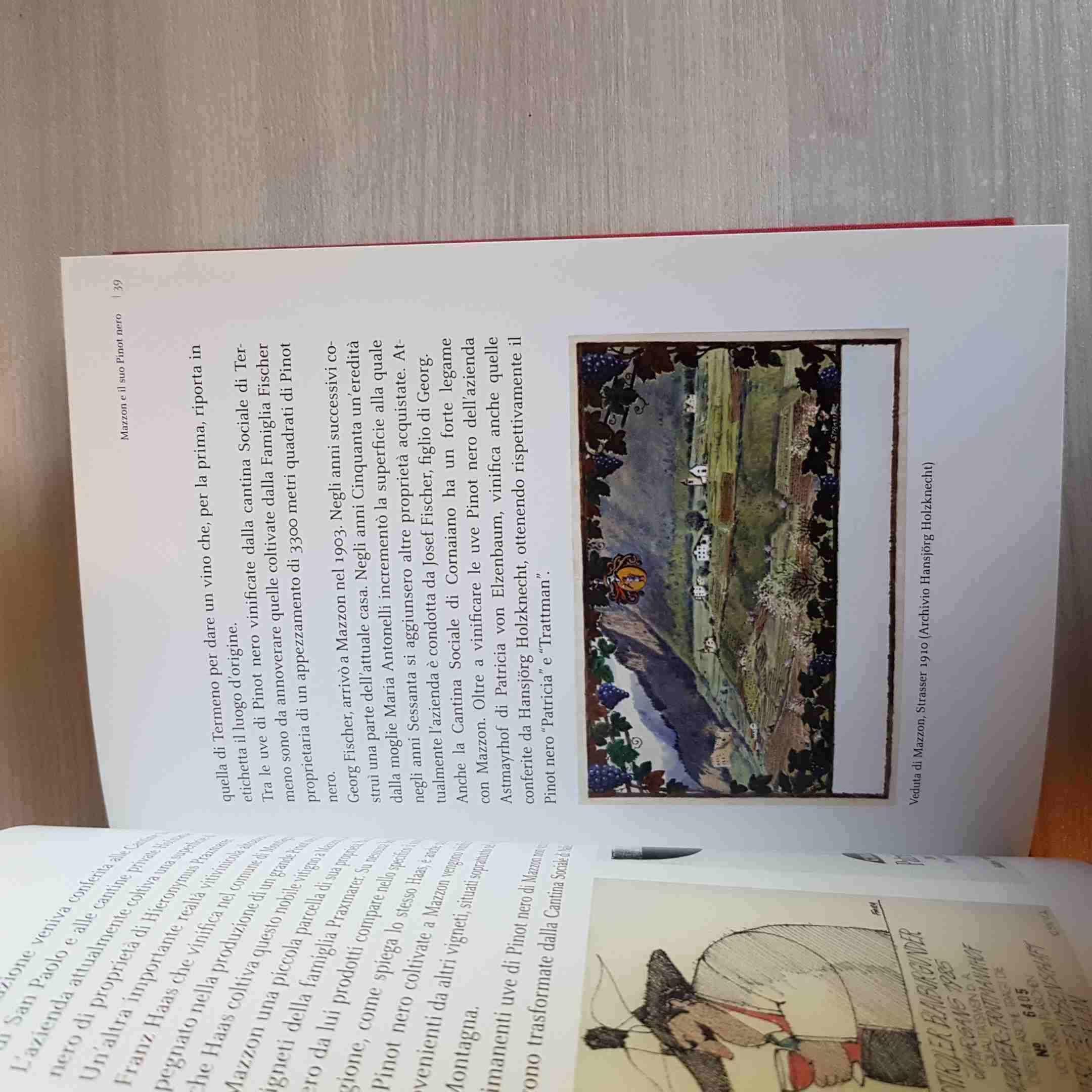 Mazzon e il suo Pinot nero