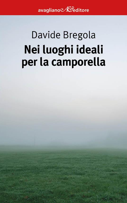 Nei luoghi ideali per la camporella - Davide Bregola - copertina