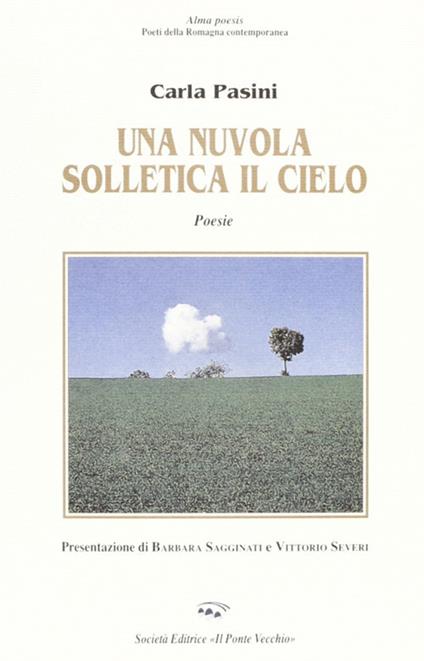 Una nuvola solletica il cielo - Carla Pasini - copertina