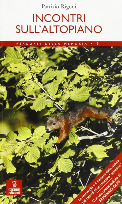 Incontri sull'altopiano - Patrizio Rigoni - copertina