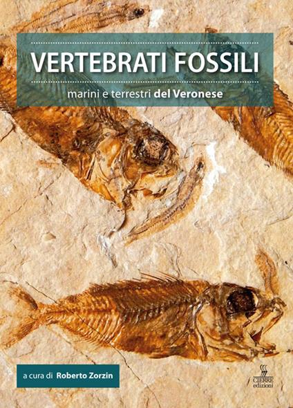 Vertebrati fossili marini e terrestri del Veronese - copertina