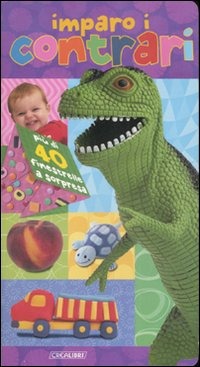 Libreria Internazionale Romagnosi snc