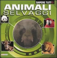 Libraccio