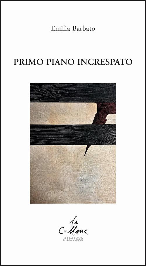 Primo piano increspato - Emilia Barbato - copertina