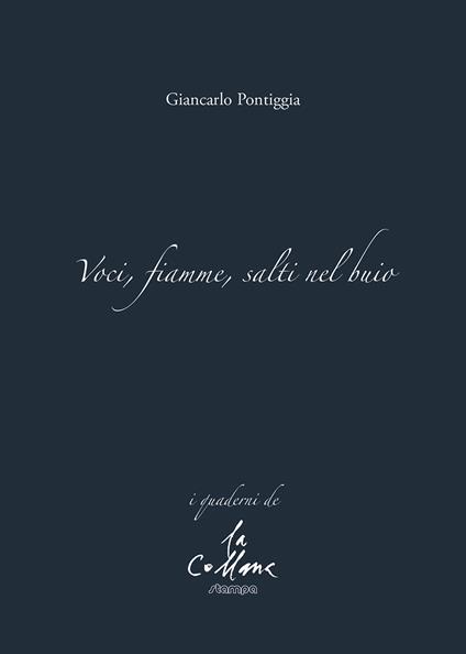 Voci, fiamme, salti nel buio - Giancarlo Pontiggia - copertina