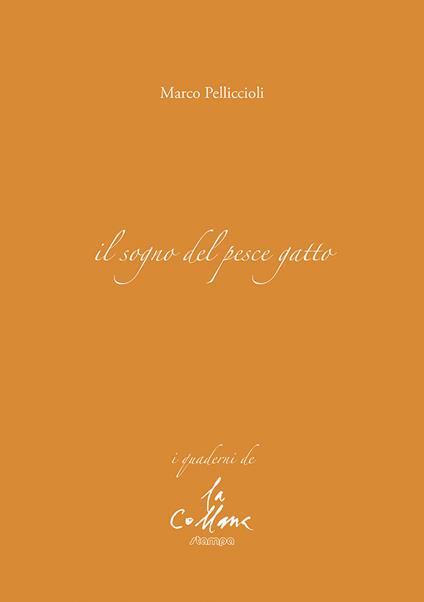 Il sogno del pesce gatto - Marco Pelliccioli - copertina