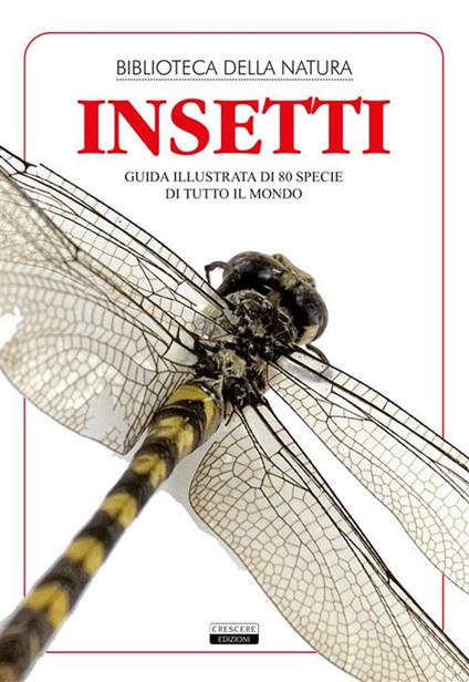 Insetti. Guida illustrata di 80 specie di tutto il mondo. Ediz. illustrata - Liborio Daniele Festa - ebook