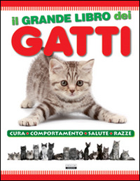 Firenze Libri