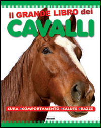 Libraccio