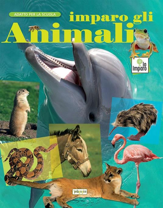 Imparo gli animali. Ediz. a colori - copertina