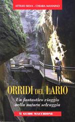 Orridi del Lario