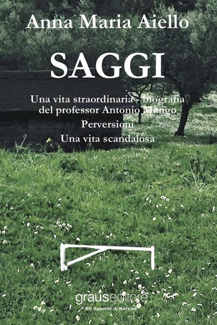 Saggi: Una vita straordinaria, bigrafia del professor Antonio Mango. Perversioni. Una vita scandalosa - Anna M. Aiello - copertina