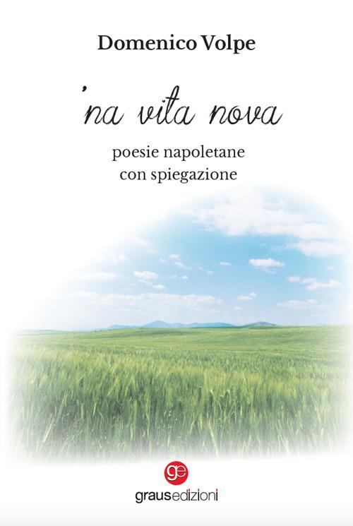 'Na vita nova. Poesie napoletane con spiegazione - Domenico Volpe - copertina