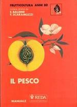  Il pesco