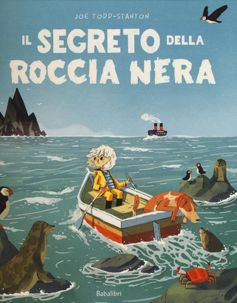 Il segreto della roccia nera. Ediz. a colori - Joe Todd-Stanton - copertina