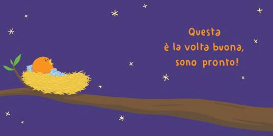 Sono pronto! Ediz. a colori - Matthieu Maudet - 2