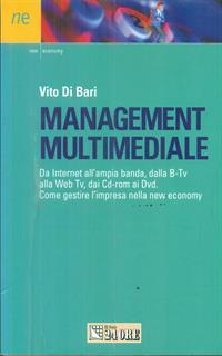 Management multimediale. Da Internet all'ampia banda, dalla B-Tv alla Web Tv, dai CD-ROM ai DVD. Come gestire l'impresa nella new economy