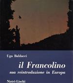 Il francolino