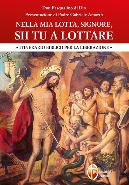 Nella mia lotta, Signore, sii tu a lottare. Itinerario biblico per la liberazione - Pasqualino Di Dio - copertina