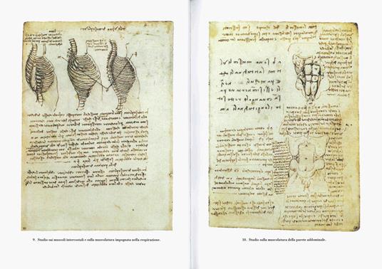 Disegni anatomici. Ediz. illustrata - Leonardo da Vinci - 7