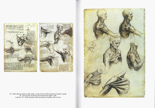 Disegni anatomici. Ediz. illustrata - Leonardo da Vinci - 8