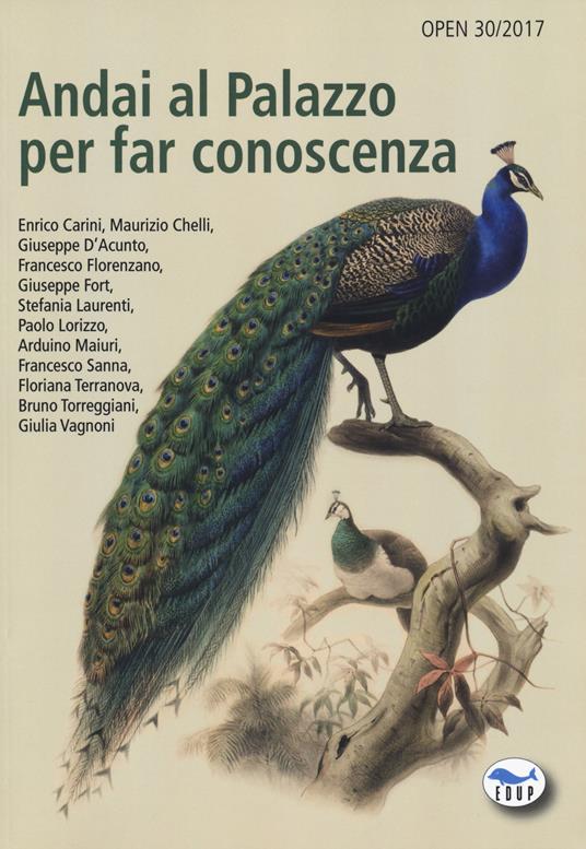 Andai al Palazzo per far conoscenza - copertina
