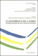 La flessibilità del lavoro. Un'analisi funzionale dei nuovi strumenti contrattuali