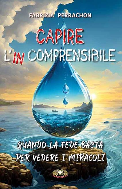 Capire l'incomprensibile. Quando la fede basta per vedere i miracoli - Fabrizia Perrachon - copertina