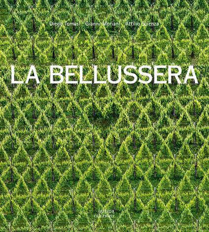La Bellussera. Storia di un'invenzione che innovò la viticoltura - Diego Tomasi,Gianni Moriani,Attilio Scienza - copertina