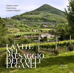 La vite nel paesaggio dei Colli Euganei. Cenni storici, elementi visivi del vigneto, distretti e percorsi vinicoli