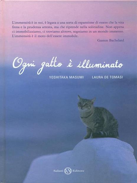 Ogni gatto è illuminato - Yoshitaka Masumi,Laura De Tomasi - copertina