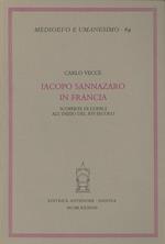 Iacopo Sannazaro in Francia. Scoperte di codici all'inizio del XVI secolo