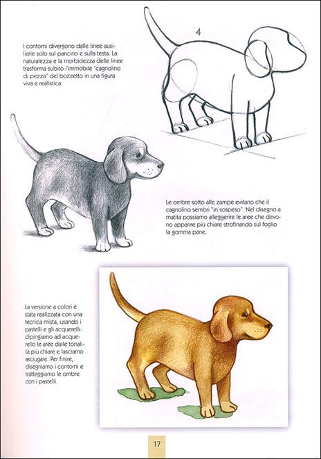 Disegnare animali. Ediz. illustrata - Hanne Turk,Rosanna Pradella - 3