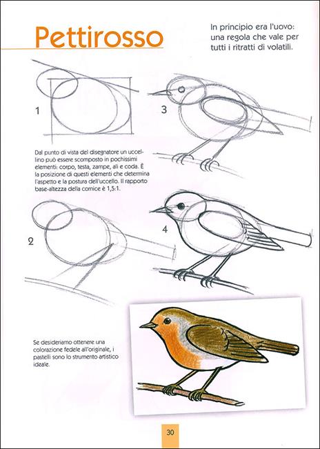 Disegnare animali. Ediz. illustrata - Hanne Turk,Rosanna Pradella - 6