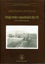 Strategie familiari e imprenditoriali fra '800 e '900. Il caso della Basilicata