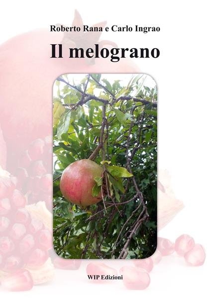Il melograno - Roberto Rana,Carlo Ingrao - copertina
