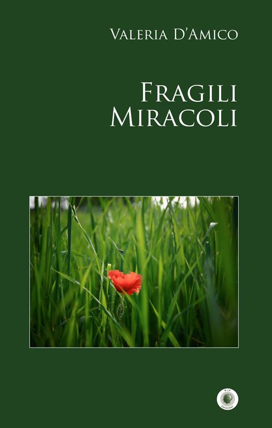 Fragili miracoli - Valeria D'Amico - copertina