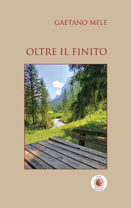 Oltre il finito - Gaetano Mele - copertina