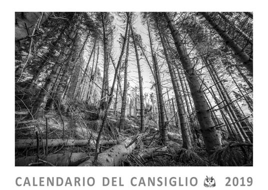 Cansiglio, la foresta nel cuore. Calendario del Cansiglio 2019 - Massimiliano Modolo - copertina