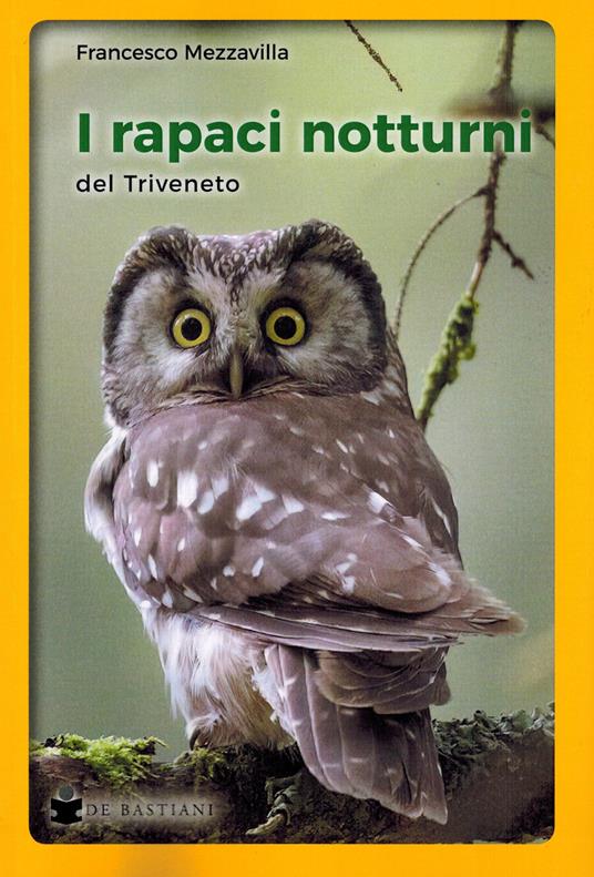 I rapaci notturni del Triveneto - Francesco Mezzavilla - copertina