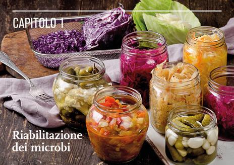 Il mondo della fermentazione. Il sapore, le qualità nutrizionali e la produzione di cibi vivi fermentati - Sandor Ellix Katz - 4