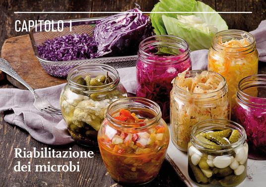 Il mondo della fermentazione. Il sapore, le qualità nutrizionali e la produzione di cibi vivi fermentati - Sandor Ellix Katz - 4