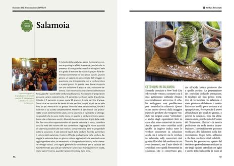 Il mondo della fermentazione. Il sapore, le qualità nutrizionali e la produzione di cibi vivi fermentati - Sandor Ellix Katz - 5