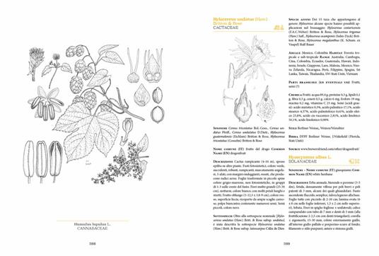 Botanica della birra. Caratteristiche e proprietà di oltre 500 specie vegetali usate nel brassaggio - Giuseppe Caruso - 4