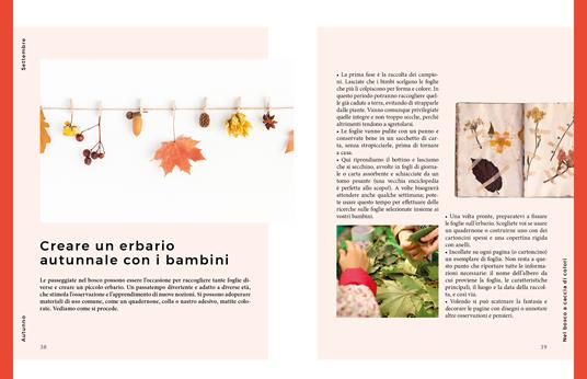 Autunno. Vita e cucina di stagione - 5