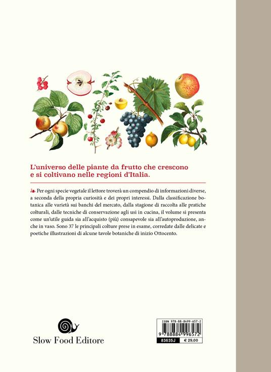 Atlante gastronomico della frutta - 2