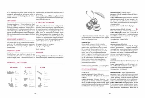 Atlante gastronomico della frutta - 4