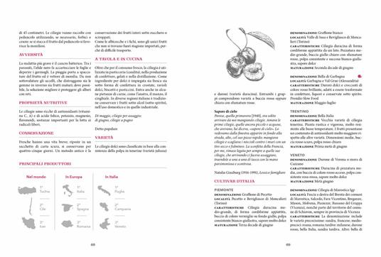 Atlante gastronomico della frutta - 4